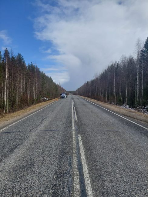 На 263 км автодороги Сыктыквар - Ухта водитель X-Trail не справилась с управлением
